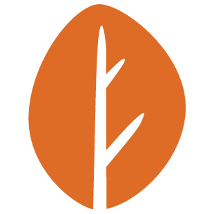 nonstopfunplaces.com favicon